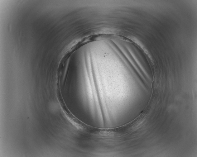 X0000063500437200602032021