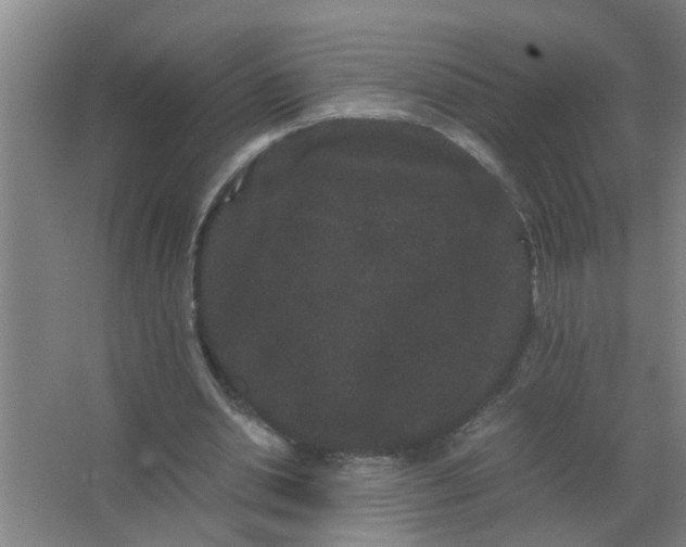 X0000063500438200602032021