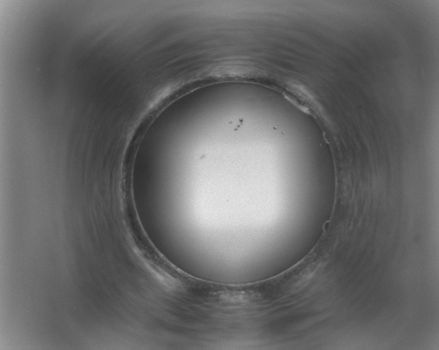 X0000063500439200602032021