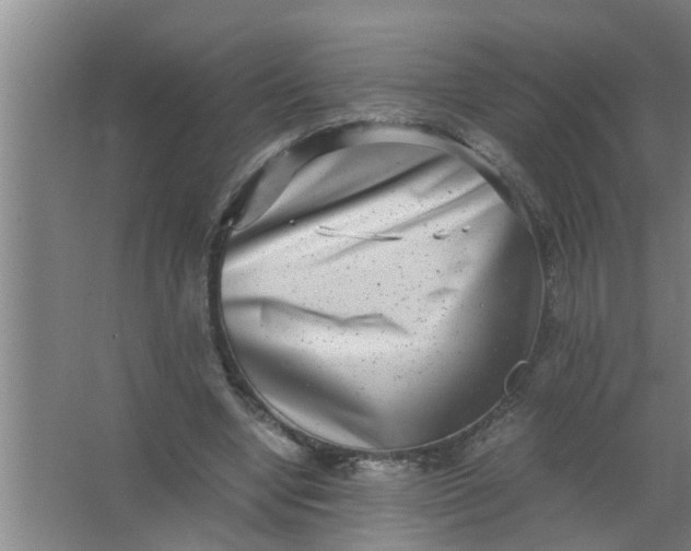 X0000063500442200602032021