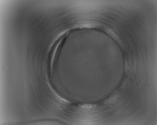 X0000063500444200602032021