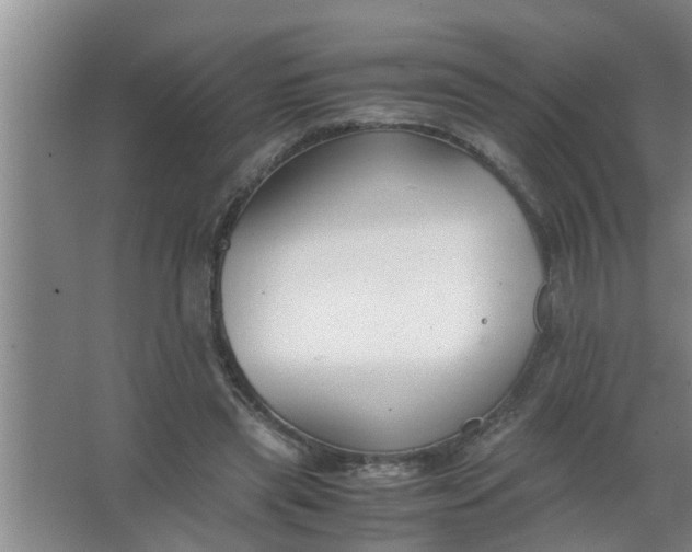 X0000063500445200602032022