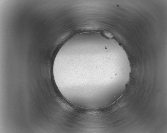 X0000063500446200602032022