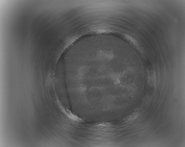 X0000063500447200602032022