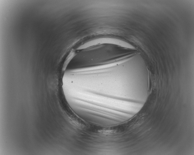 X0000063500448200602032022