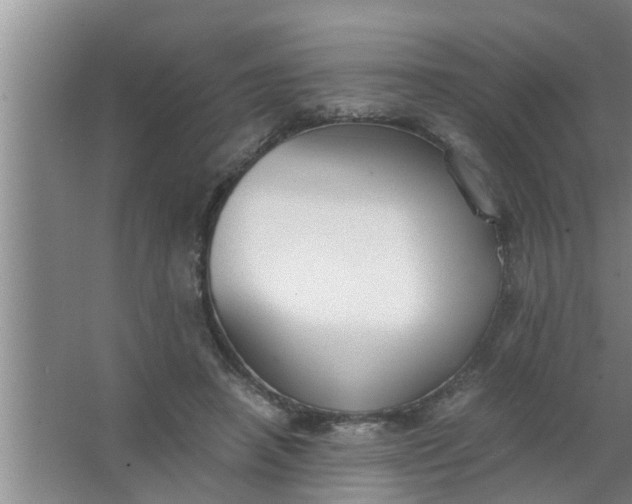 X0000063500450200602032022