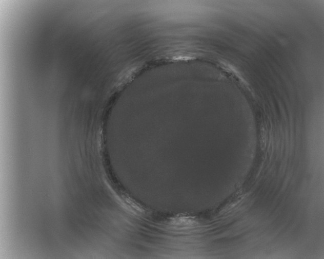 X0000063500451200602032022