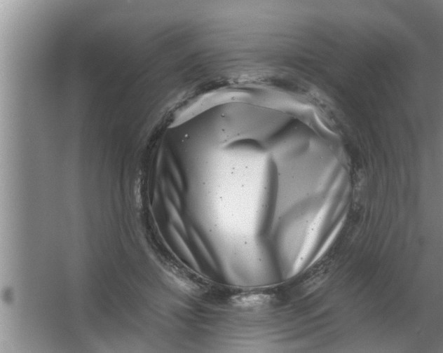 X0000063500452200602032022