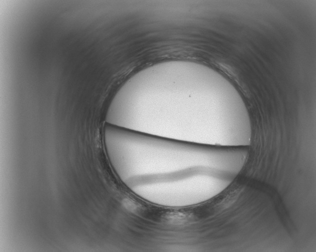 X0000063500453200602032022