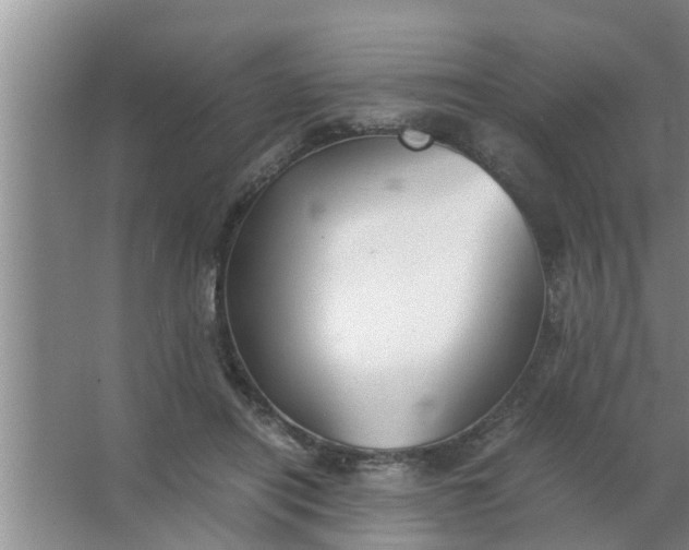 X0000063500454200602032022