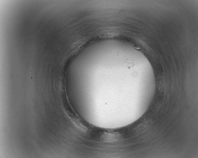 X0000063500455200602032022