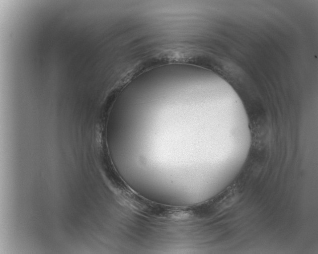 X0000063500456200602032022