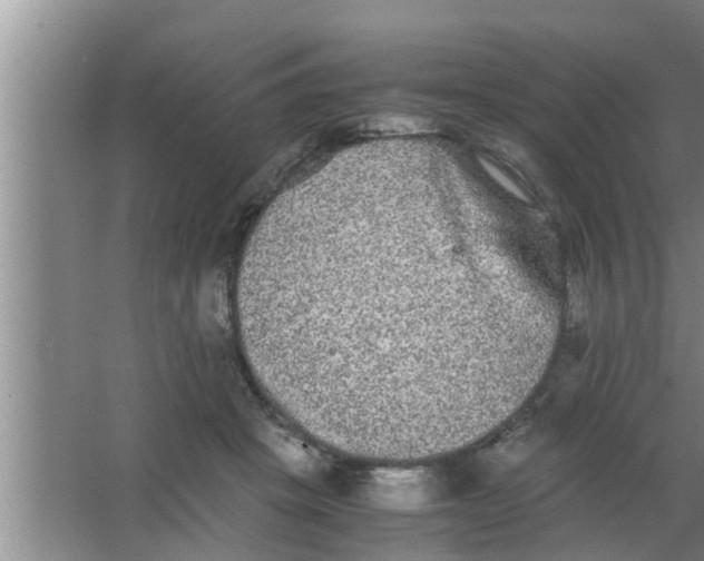 X0000063500457200602032022