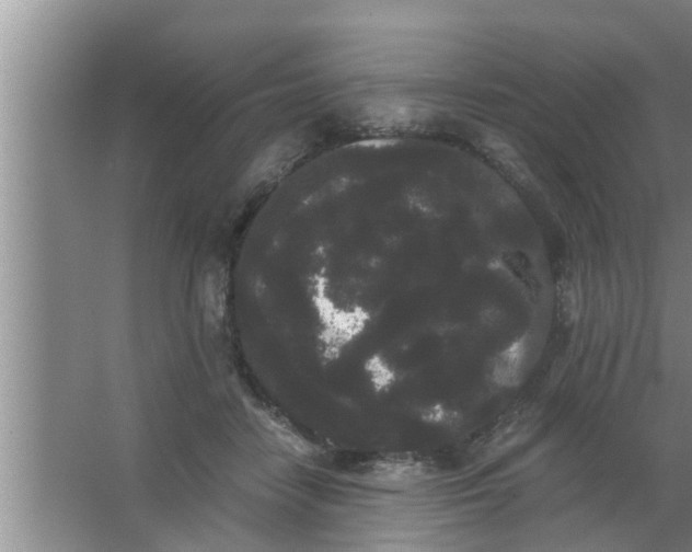 X0000063500458200602032022