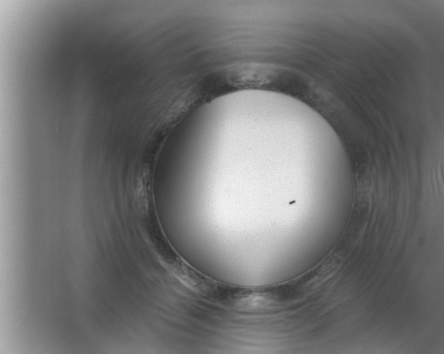 X0000063500460200602032022