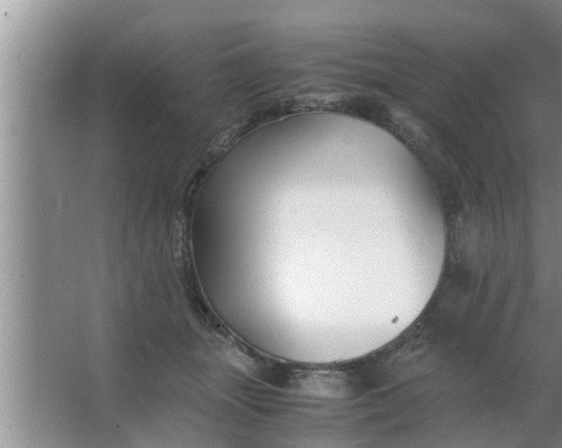 X0000063500463200602032022