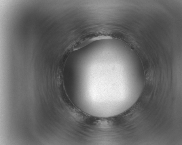 X0000063500464200602032022