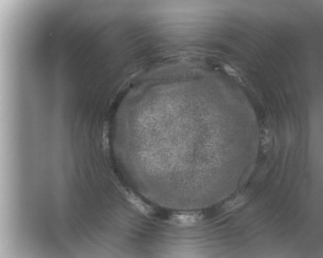 X0000063500466200602032022