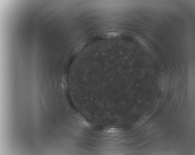 X0000063500467200602032022