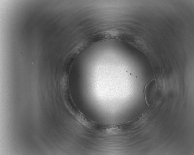 X0000063500468200602032022