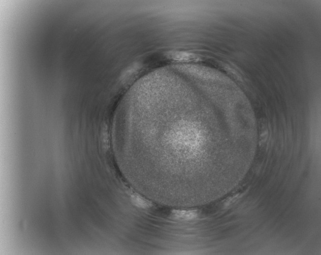 X0000063500469200602032022