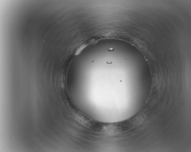 X0000063500470200602032022