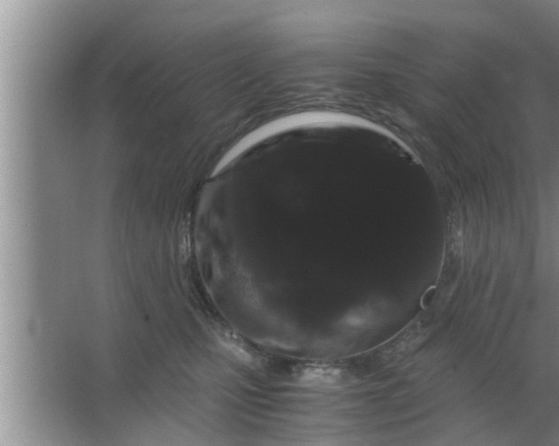 X0000063500471200602032022