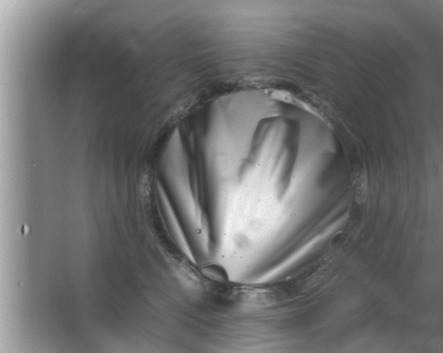 X0000063500472200602032022