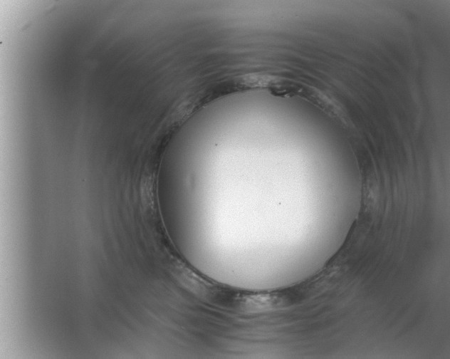 X0000063500473200602032022