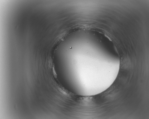 X0000063500474200602032022