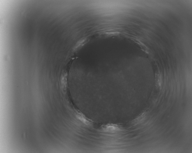 X0000063500475200602032022