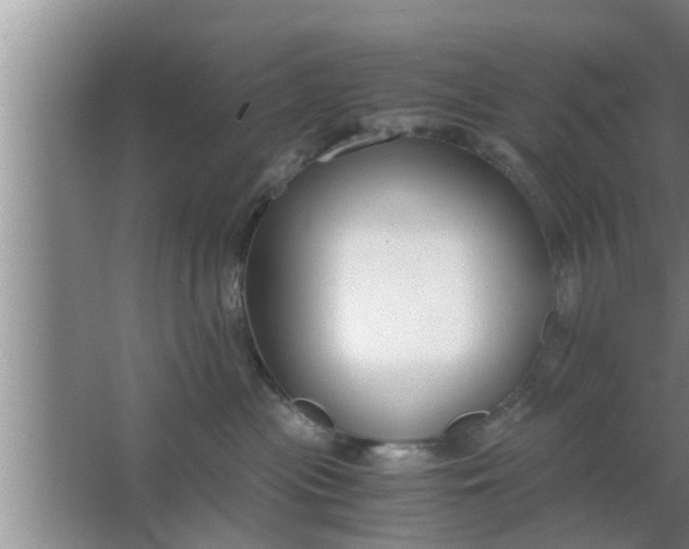 X0000063500477200602032022