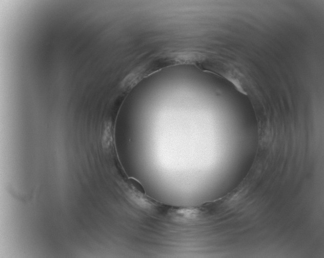 X0000063500478200602032022