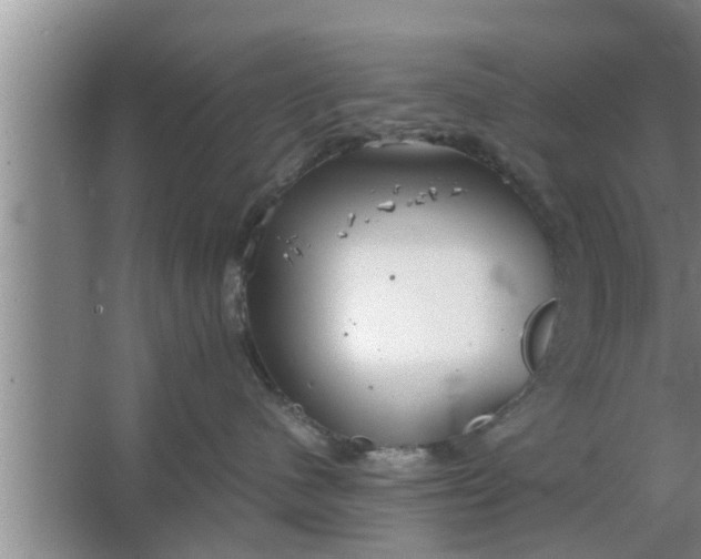 X0000063500480200602032022