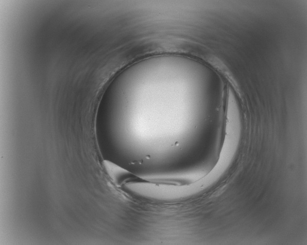 X0000063500481200602032021