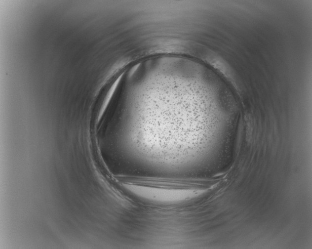 X0000063500482200602032021