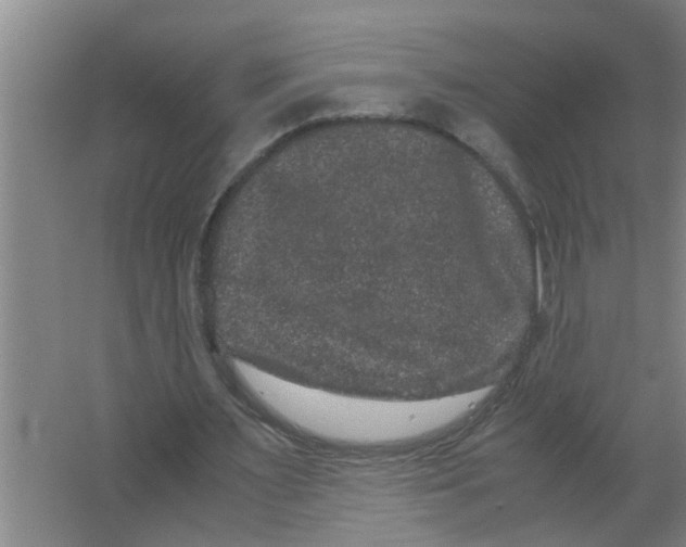 X0000063500483200602032021