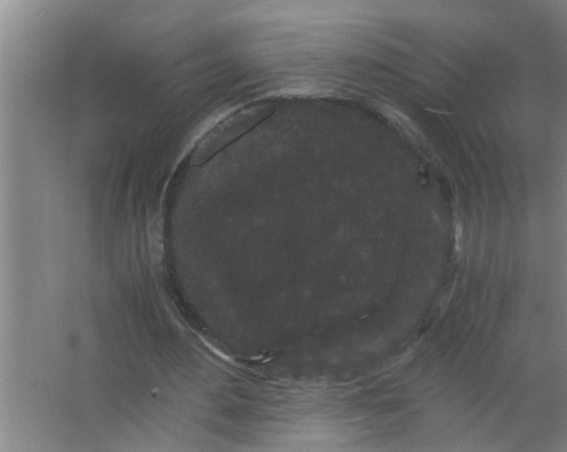 X0000063500484200602032021