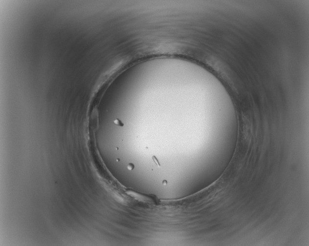 X0000063500486200602032021