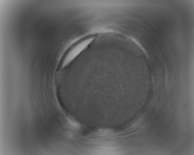 X0000063500487200602032021