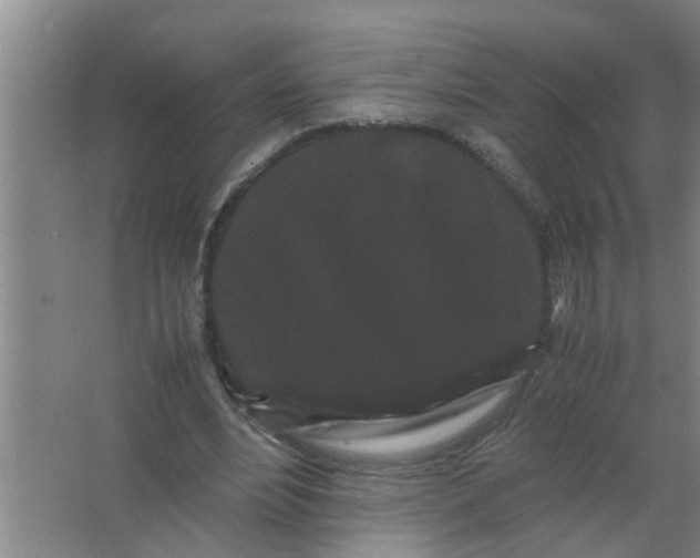 X0000063500488200602032021