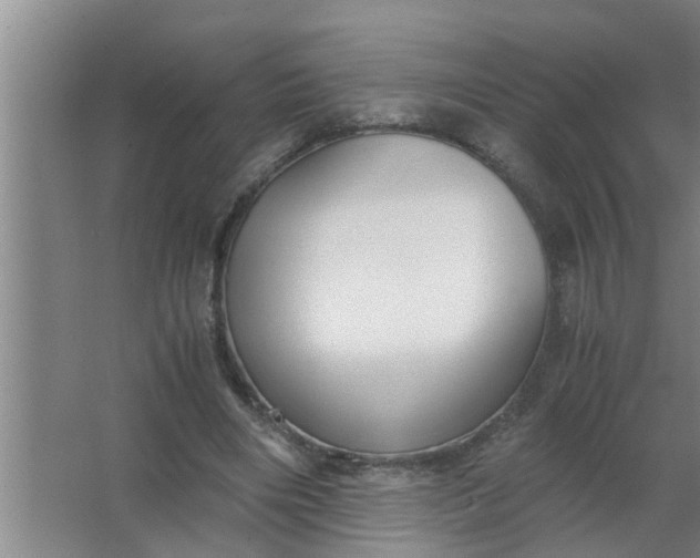 X0000063500490200602032021