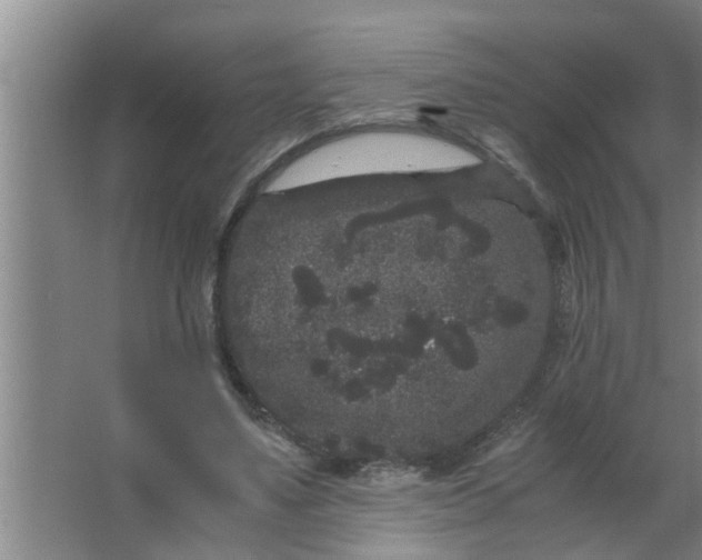 X0000063500491200602032021