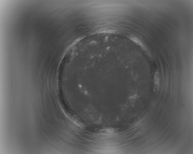 X0000063500492200602032021