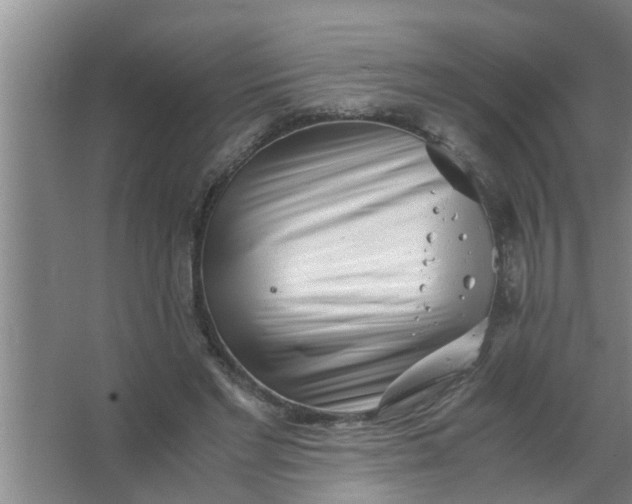 X0000063500493200602032021