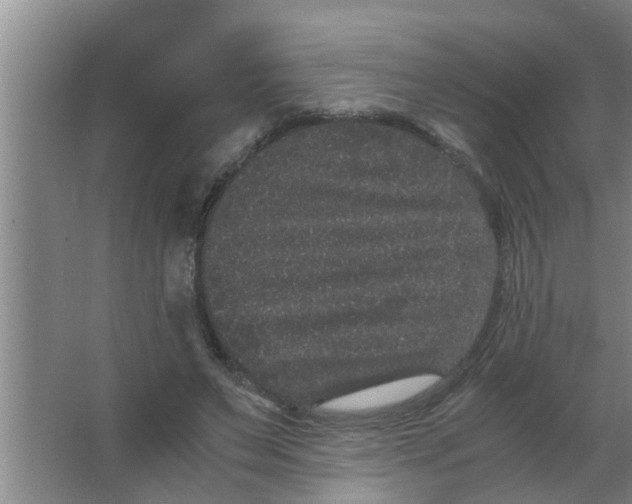 X0000063500495200602032021