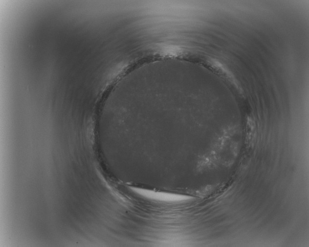 X0000063500496200602032021