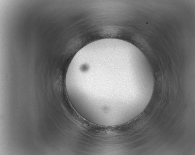 X0000063500498200602032021