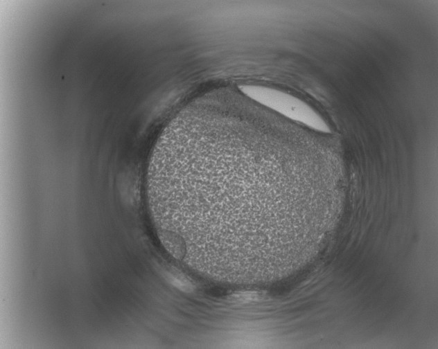 X0000063500499200602032021