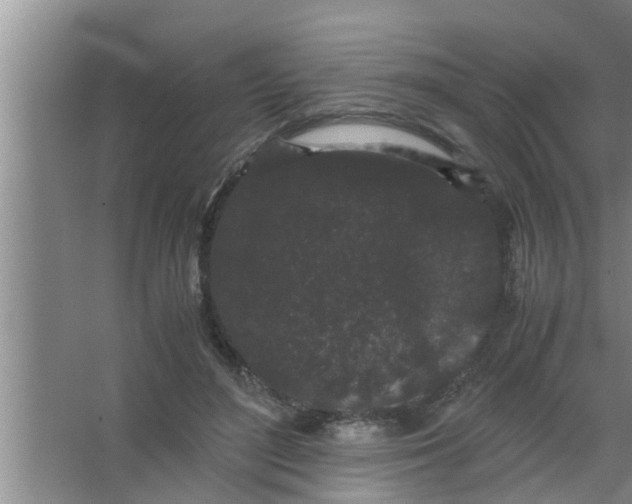 X0000063500500200602032021